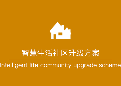 �ǻ�����������������